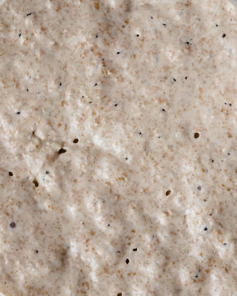 COMO FAZER fermento de padeiro, FERMENTO NATURAL, massa mãe, levain, sourdough EM CASA