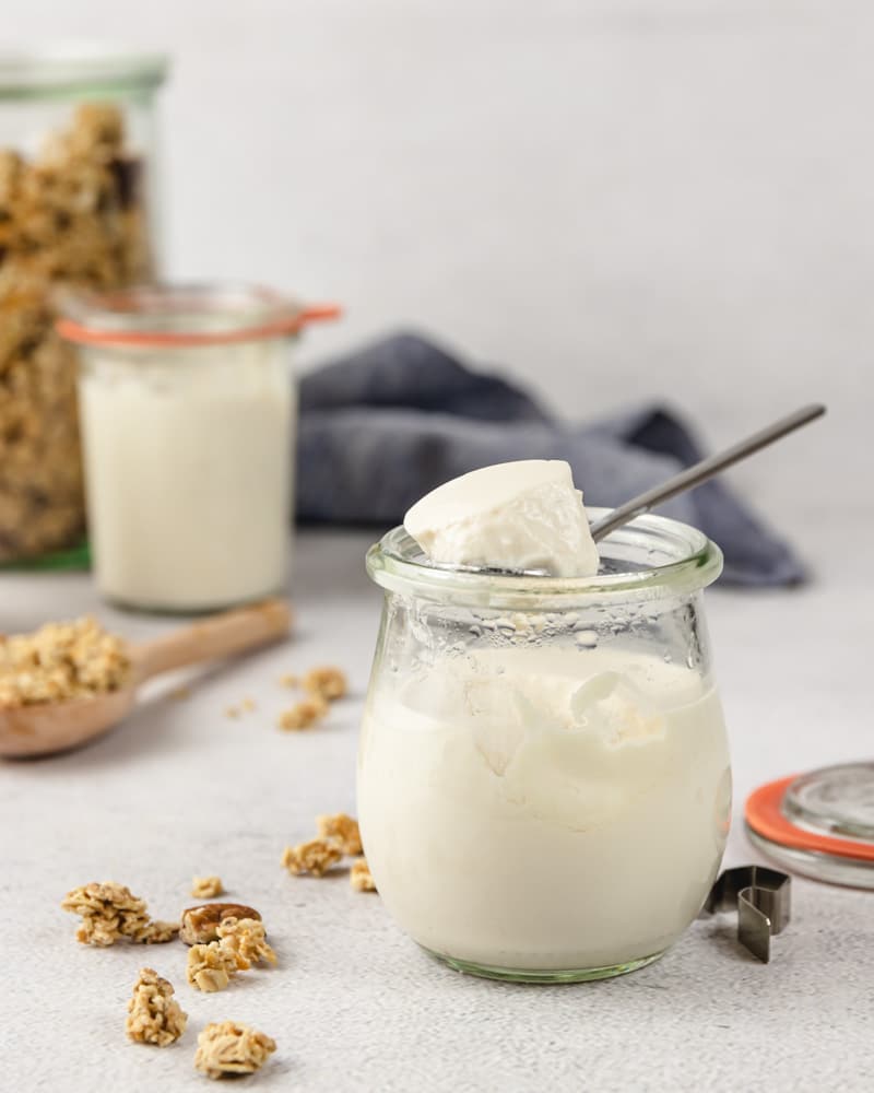 iogurte de soja caseiro